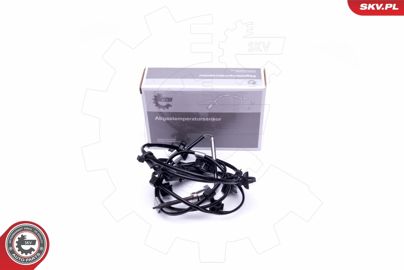 ESEN SKV Sensor, avgastemperatur 30SKV280
