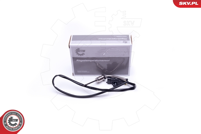 ESEN SKV Sensor, avgastemperatur 30SKV317