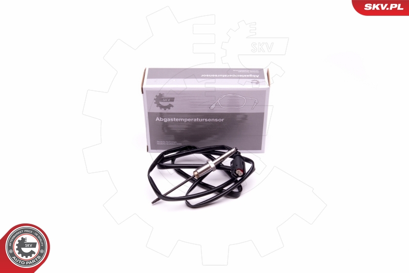 ESEN SKV Sensor, avgastemperatur 30SKV324