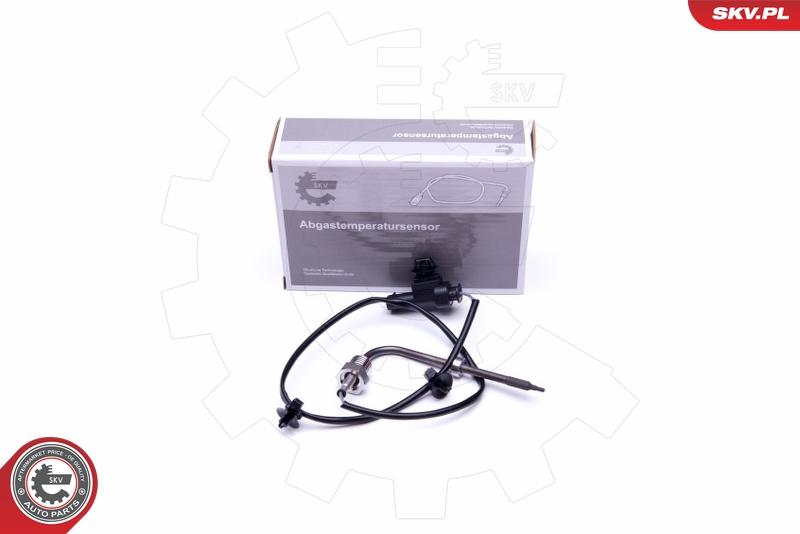 ESEN SKV Sensor, avgastemperatur 30SKV353