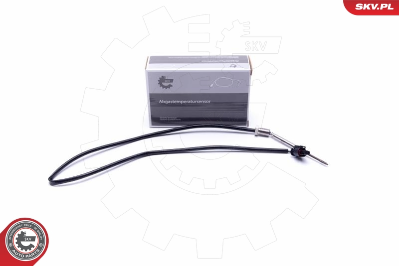 ESEN SKV Sensor, avgastemperatur 30SKV381