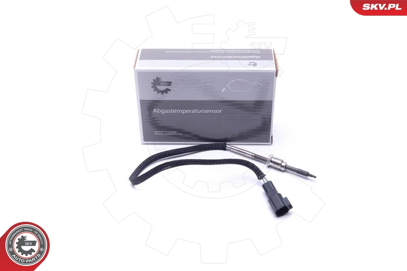 ESEN SKV Sensor, avgastemperatur 30SKV416