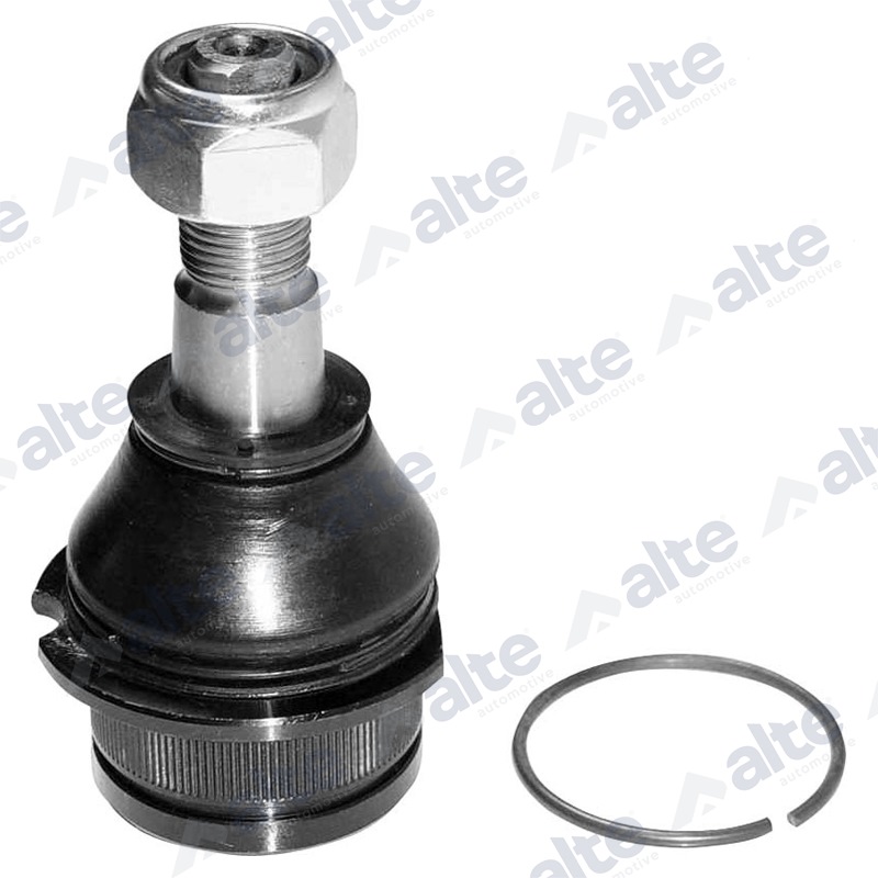 ALTE AUTOMOTIVE Šarniir 78984AL