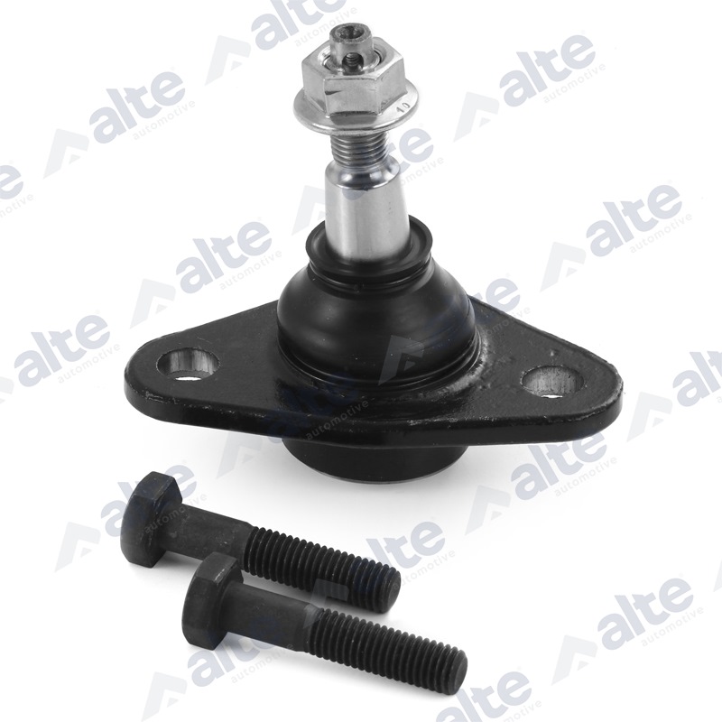 ALTE AUTOMOTIVE Šarniir 79028AL