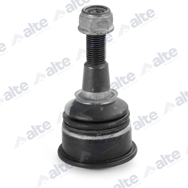 ALTE AUTOMOTIVE Šarniir 79444AL