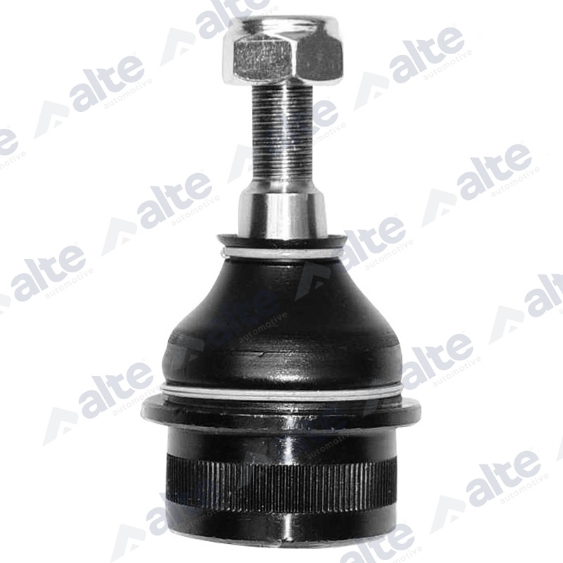 ALTE AUTOMOTIVE Šarniir 79622AL