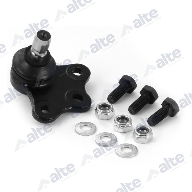 ALTE AUTOMOTIVE Šarniir 81273AL