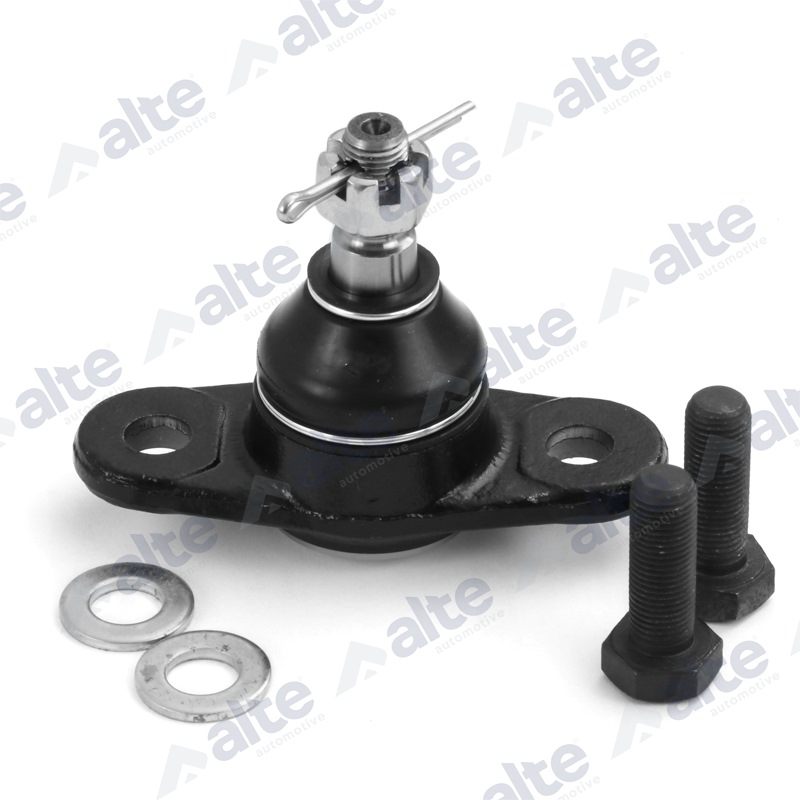 ALTE AUTOMOTIVE Šarniir 83161AL