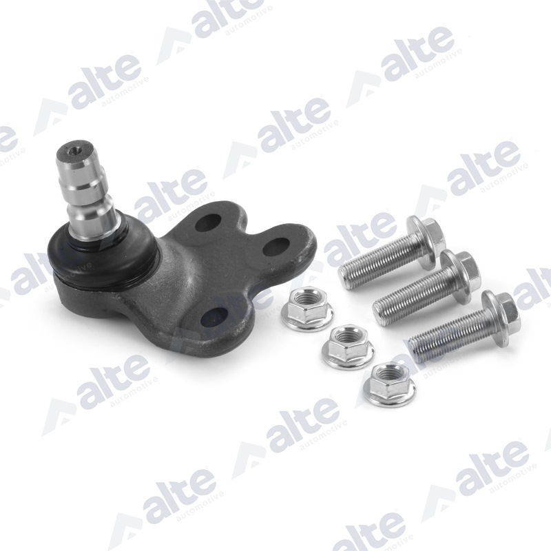 ALTE AUTOMOTIVE Šarniir 88038AL