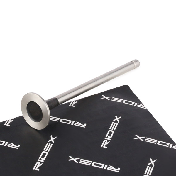 RIDEX Zawór wydechowy 1270O0006