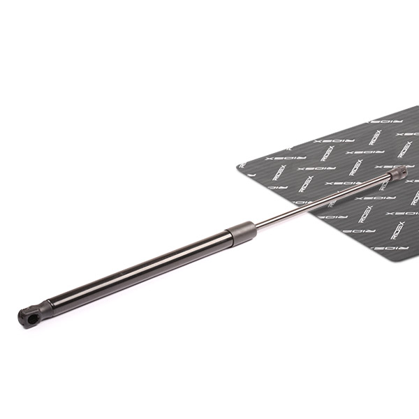 RIDEX Kaasujousi, tavaratila 219G0012