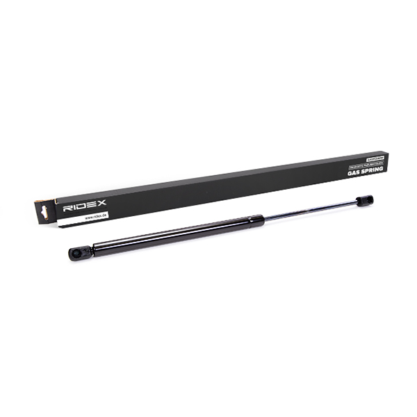 RIDEX Kaasujousi, tavaratila 219G0022