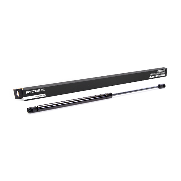 RIDEX Kaasujousi, tavaratila 219G0024