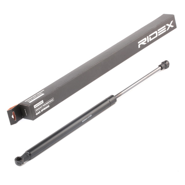 RIDEX Kaasujousi, tavaratila 219G0038