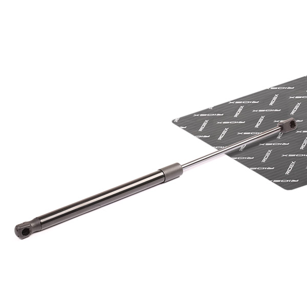 RIDEX Kaasujousi, tavaratila 219G0040