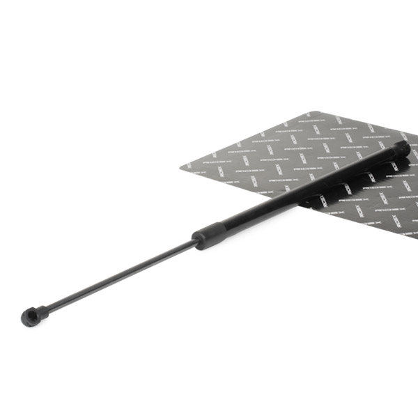 RIDEX Kaasujousi, tavaratila 219G0050