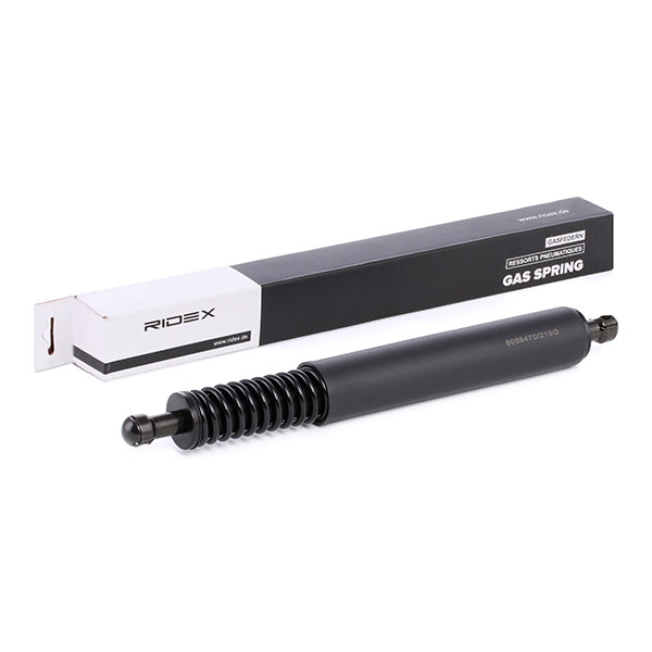 RIDEX dujinė spyruoklė, bagažinė 219G0079