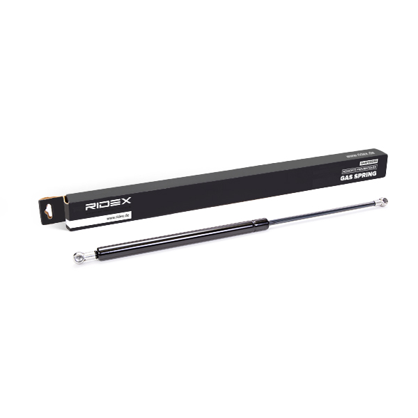 RIDEX Kaasujousi, tavaratila 219G0098