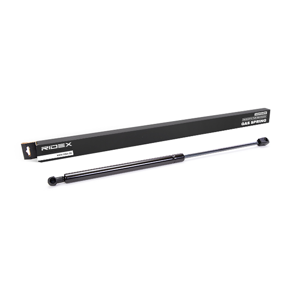 RIDEX Kaasujousi, tavaratila 219G0101