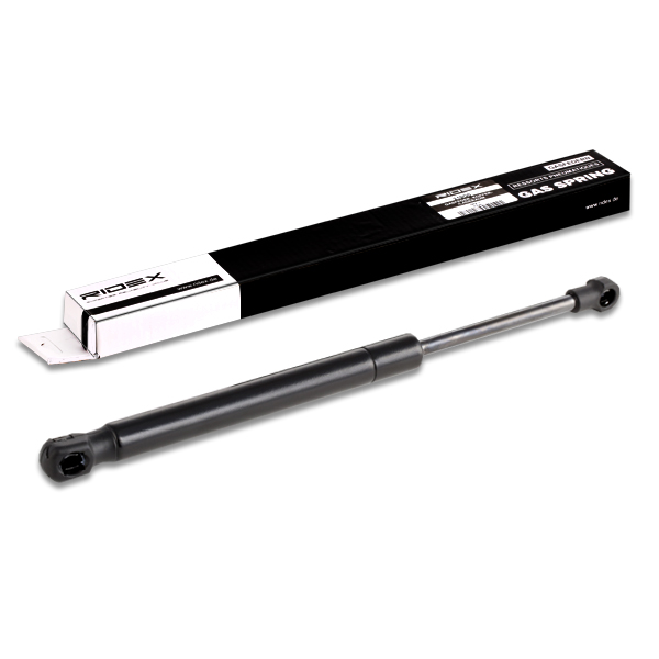RIDEX dujinė spyruoklė, bagažinė 219G0128