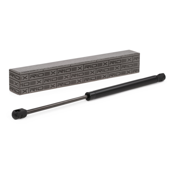 RIDEX Kaasujousi, tavaratila 219G0136