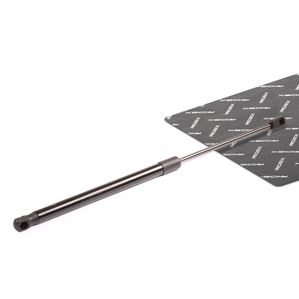RIDEX Kaasujousi, tavaratila 219G0143
