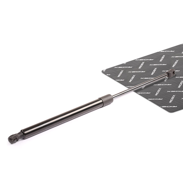 RIDEX Kaasujousi, tavaratila 219G0184