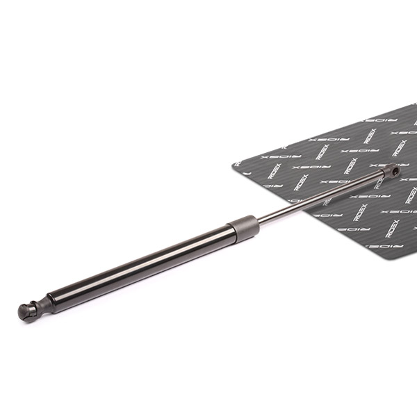RIDEX Kaasujousi, tavaratila 219G0189