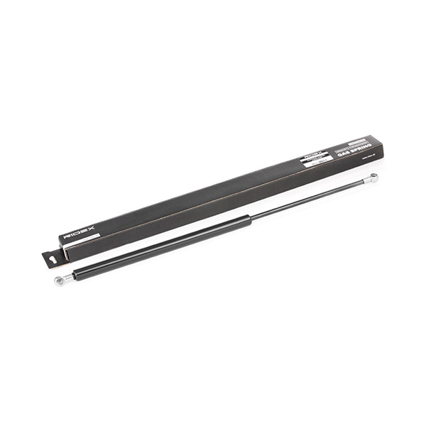RIDEX Kaasujousi, tavaratila 219G0202