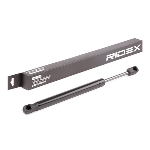 RIDEX Kaasujousi, tavaratila 219G0435