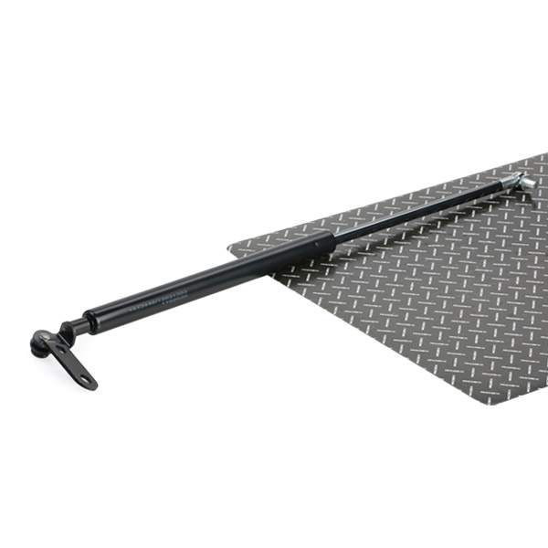 RIDEX Gaasivedru, pagasi-/veoruum 219G0443