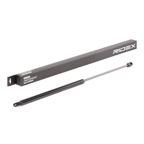 RIDEX Gaasivedru, pagasi-/veoruum 219G0453