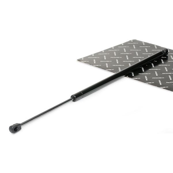 RIDEX Kaasujousi, tavaratila 219G0553