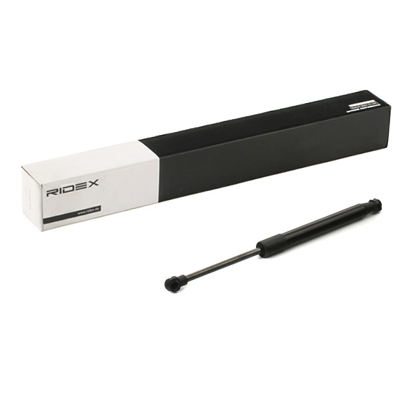 RIDEX Kaasujousi, takalasi 2454G0008