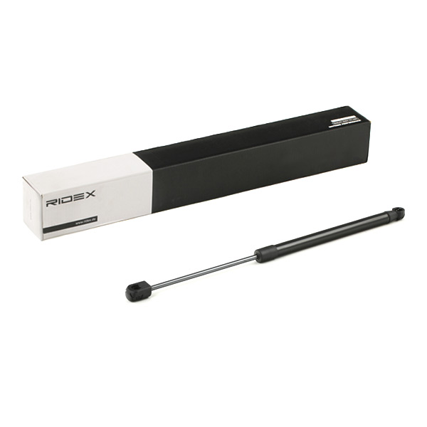 RIDEX Kaasujousi, takalasi 2454G0010