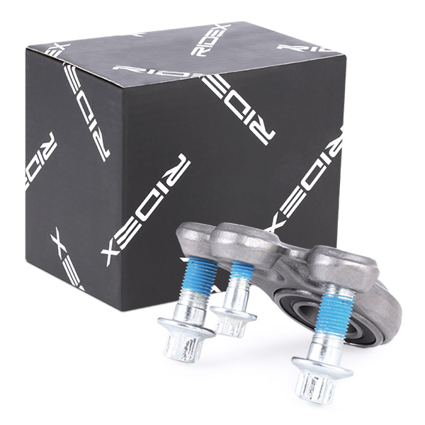 RIDEX Šarniir 2462S0010