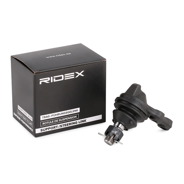 RIDEX Šarniir 2462S0013