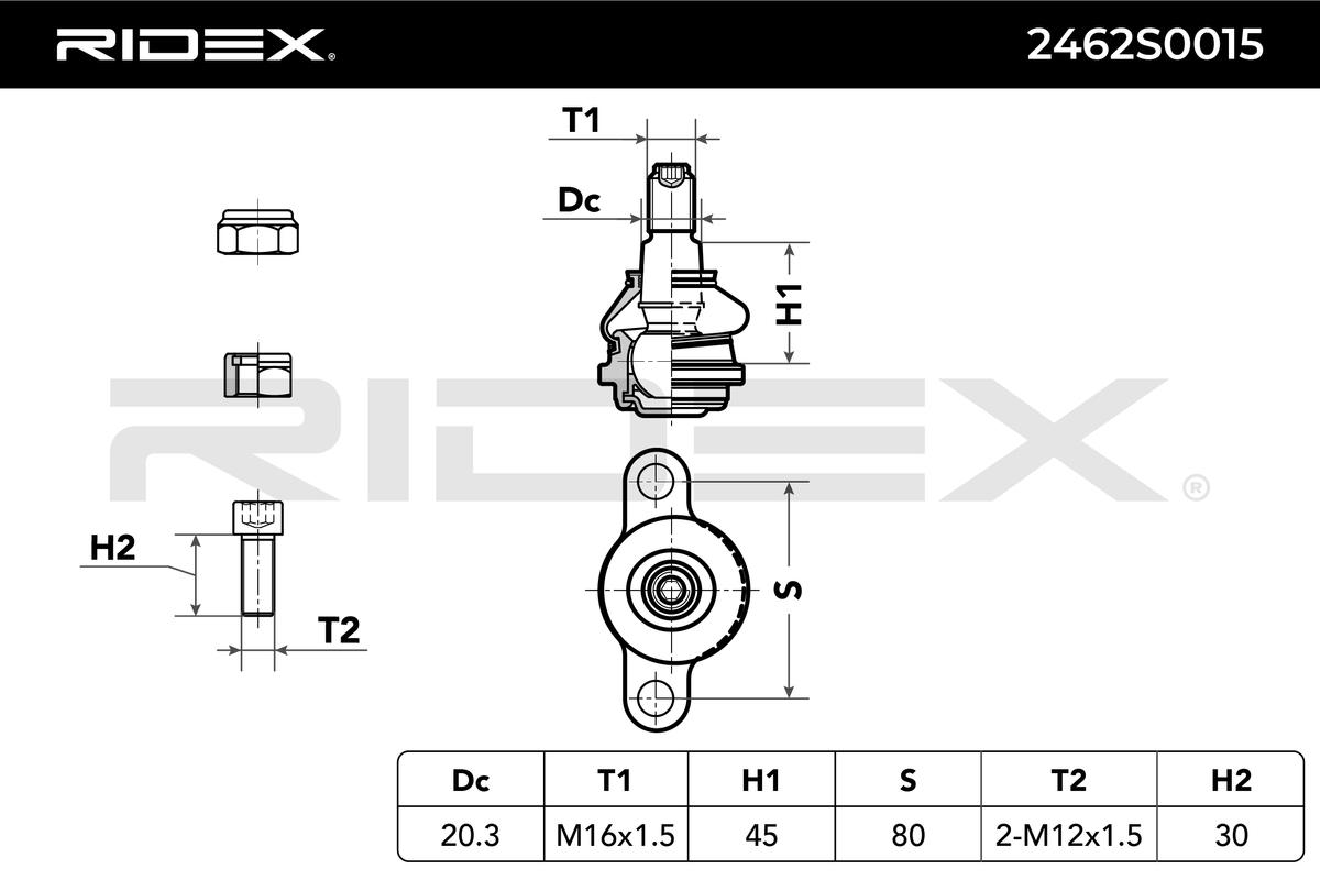 RIDEX Šarnyras / girgždukas 2462S0015