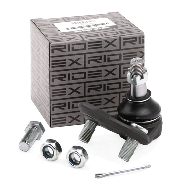 RIDEX Šarniir 2462S0016