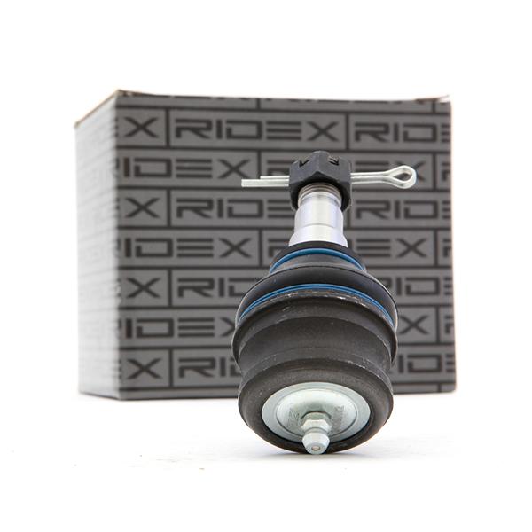 RIDEX Šarniir 2462S0052