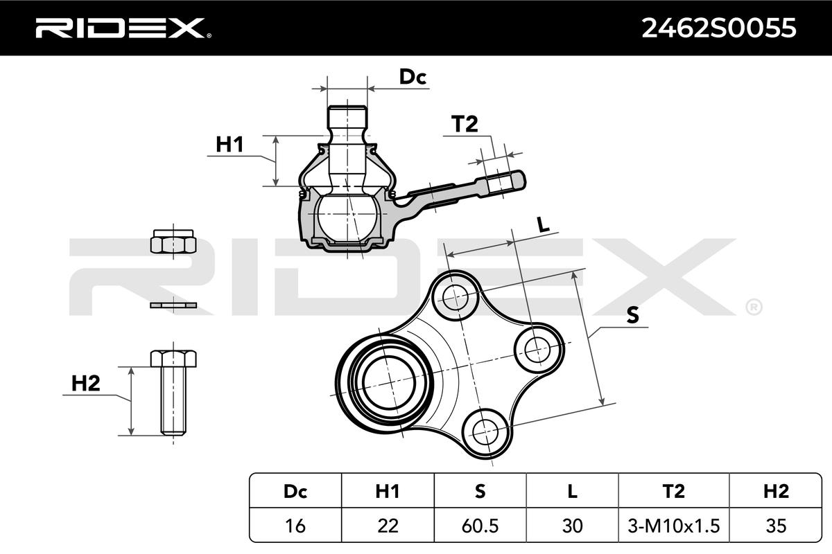 RIDEX Šarniir 2462S0055