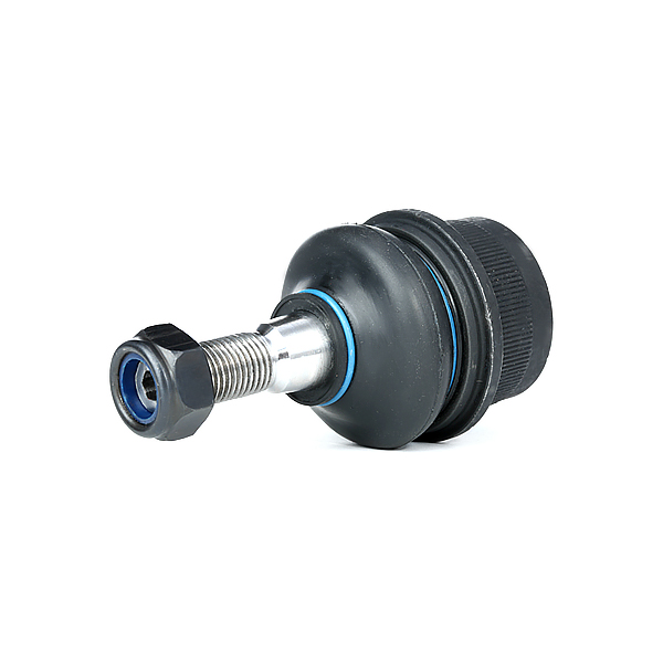RIDEX Šarniir 2462S0057