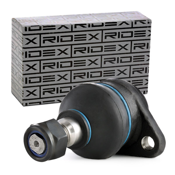 RIDEX Šarniir 2462S0065