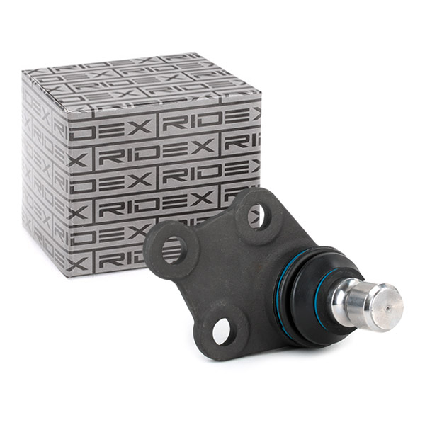 RIDEX Šarniir 2462S0076