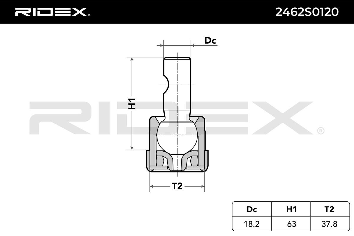 RIDEX Šarniir 2462S0120