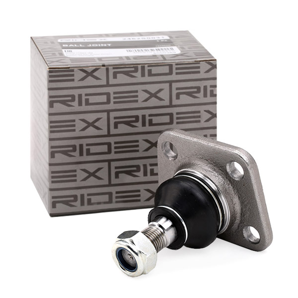 RIDEX Šarniir 2462S0123