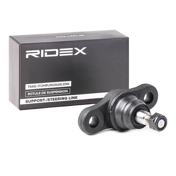 RIDEX Šarniir 2462S0143