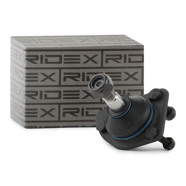 RIDEX Šarniir 2462S0266