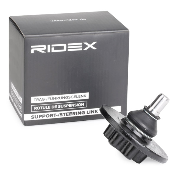 RIDEX Šarniir 2462S0295