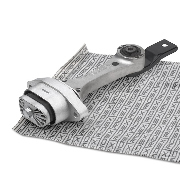 RIDEX variklio montavimas 247E0004